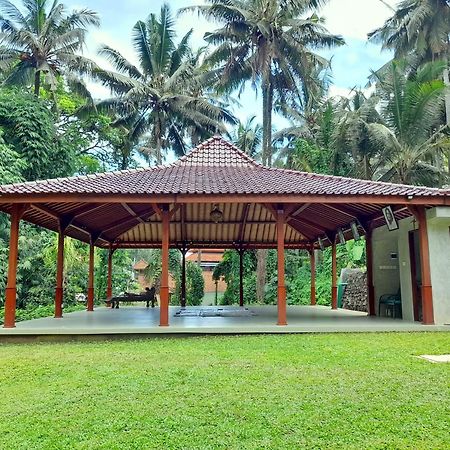 As I Am Ubud Retreat 外观 照片