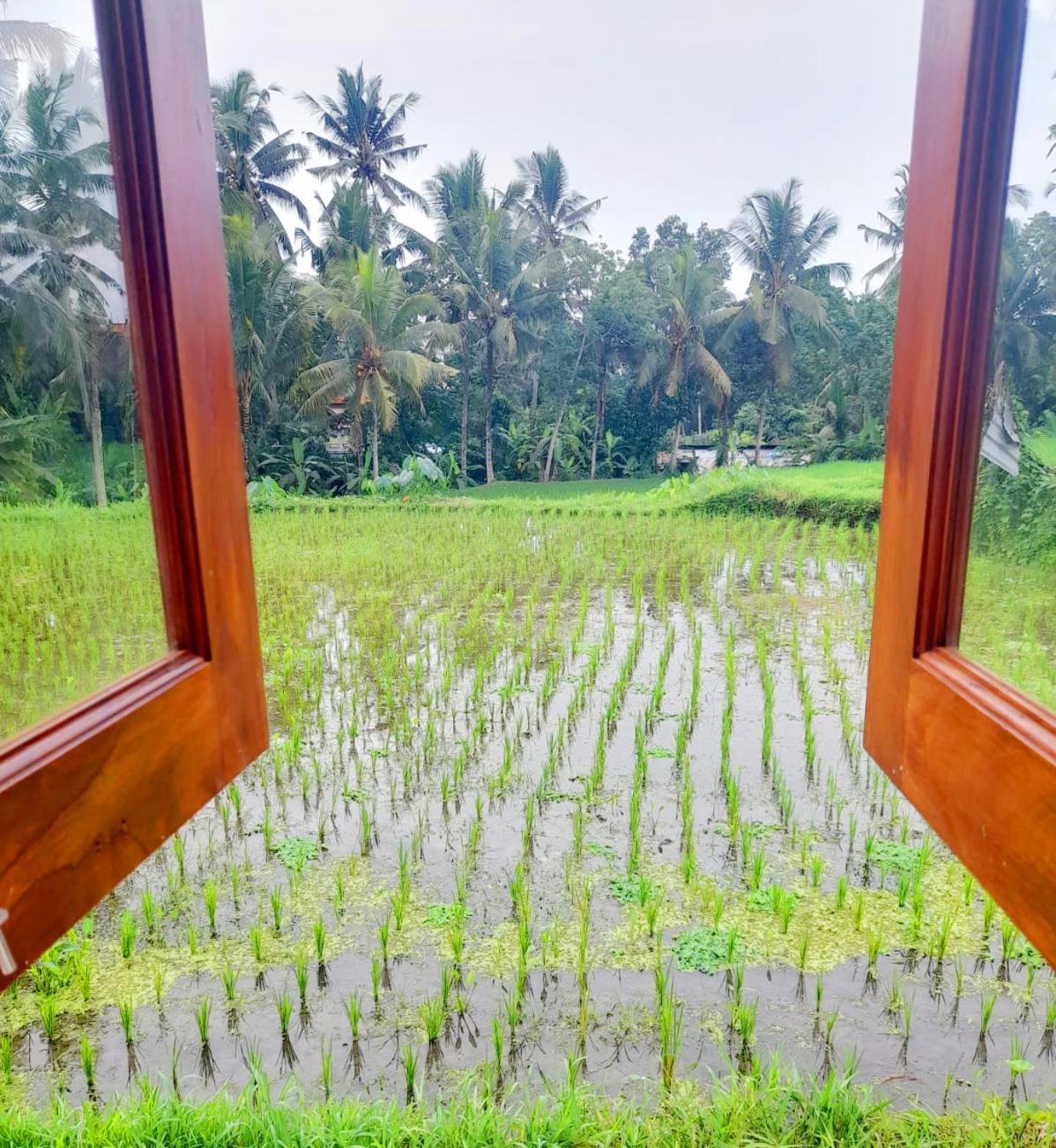 As I Am Ubud Retreat 客房 照片