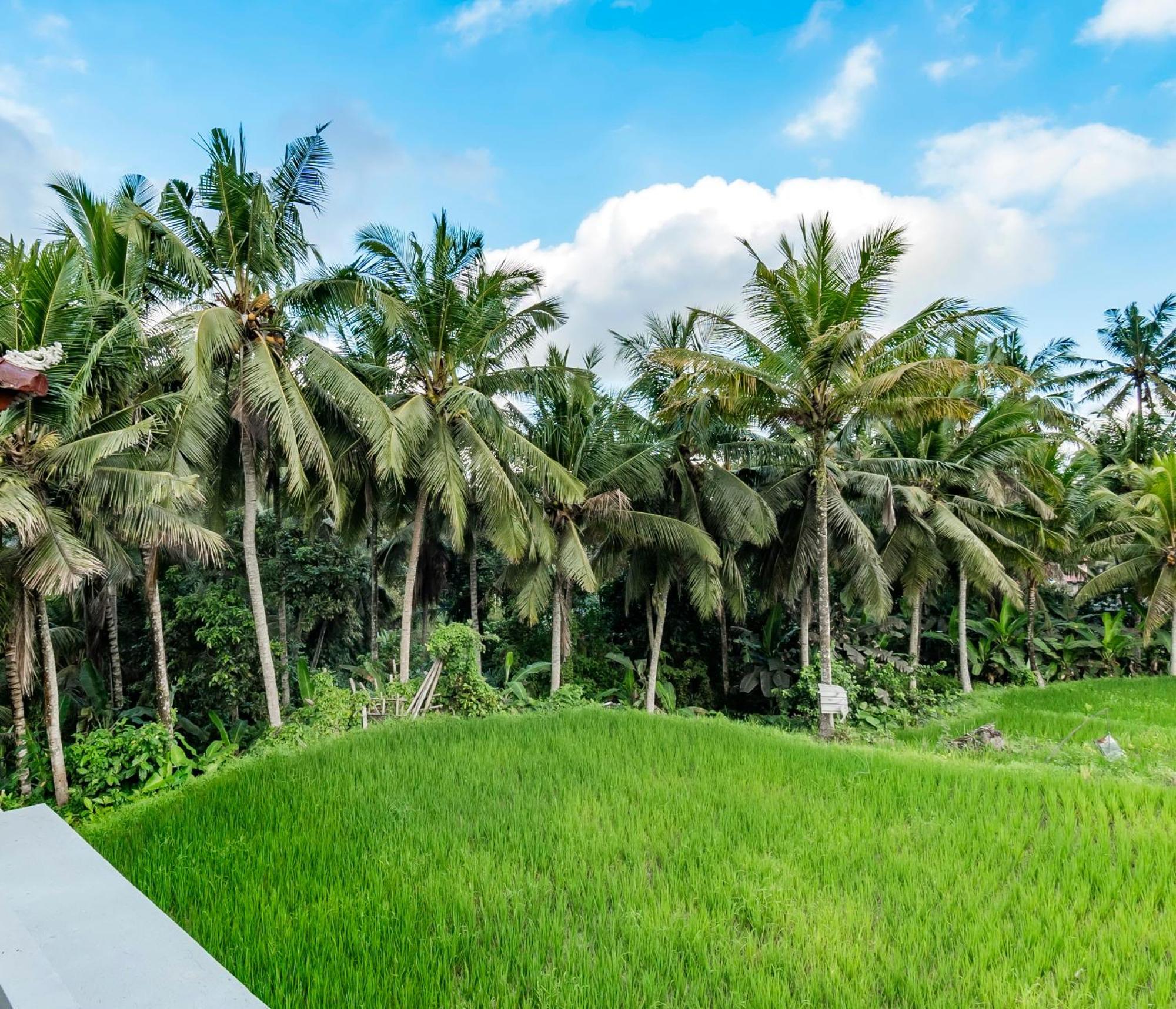 As I Am Ubud Retreat 客房 照片