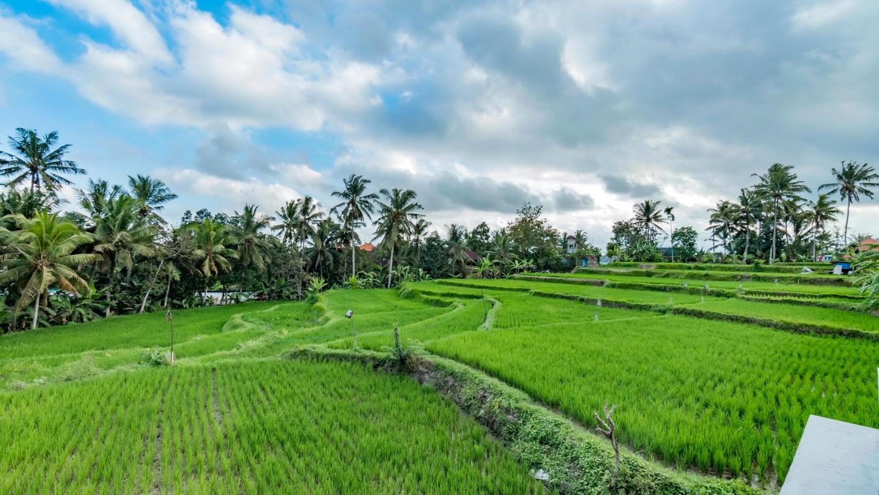 As I Am Ubud Retreat 外观 照片