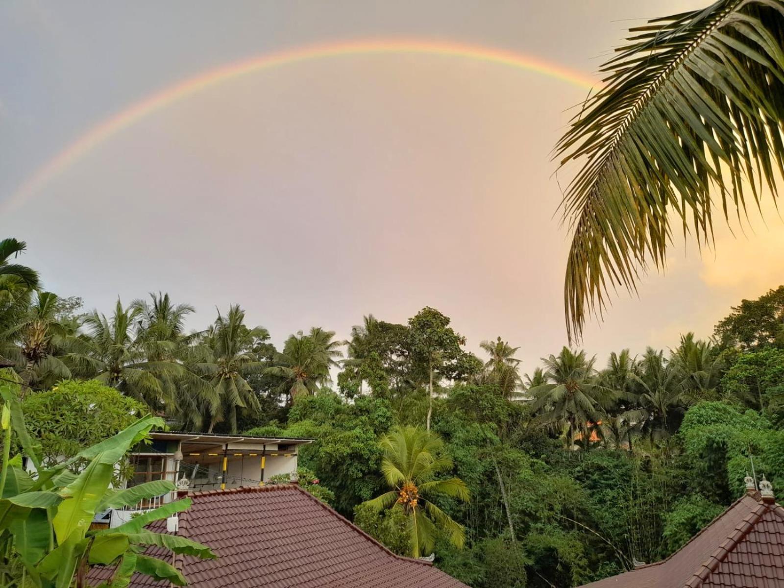 As I Am Ubud Retreat 外观 照片