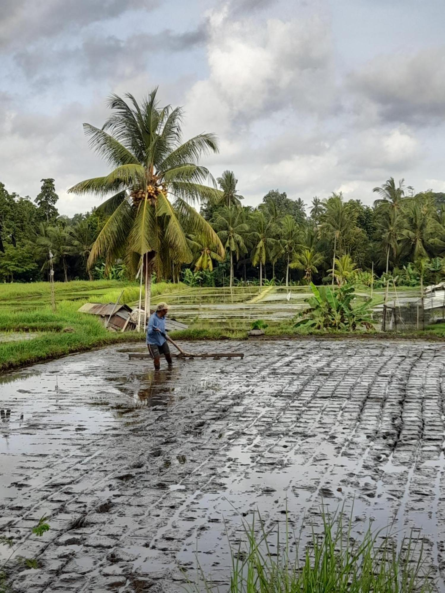 As I Am Ubud Retreat 外观 照片