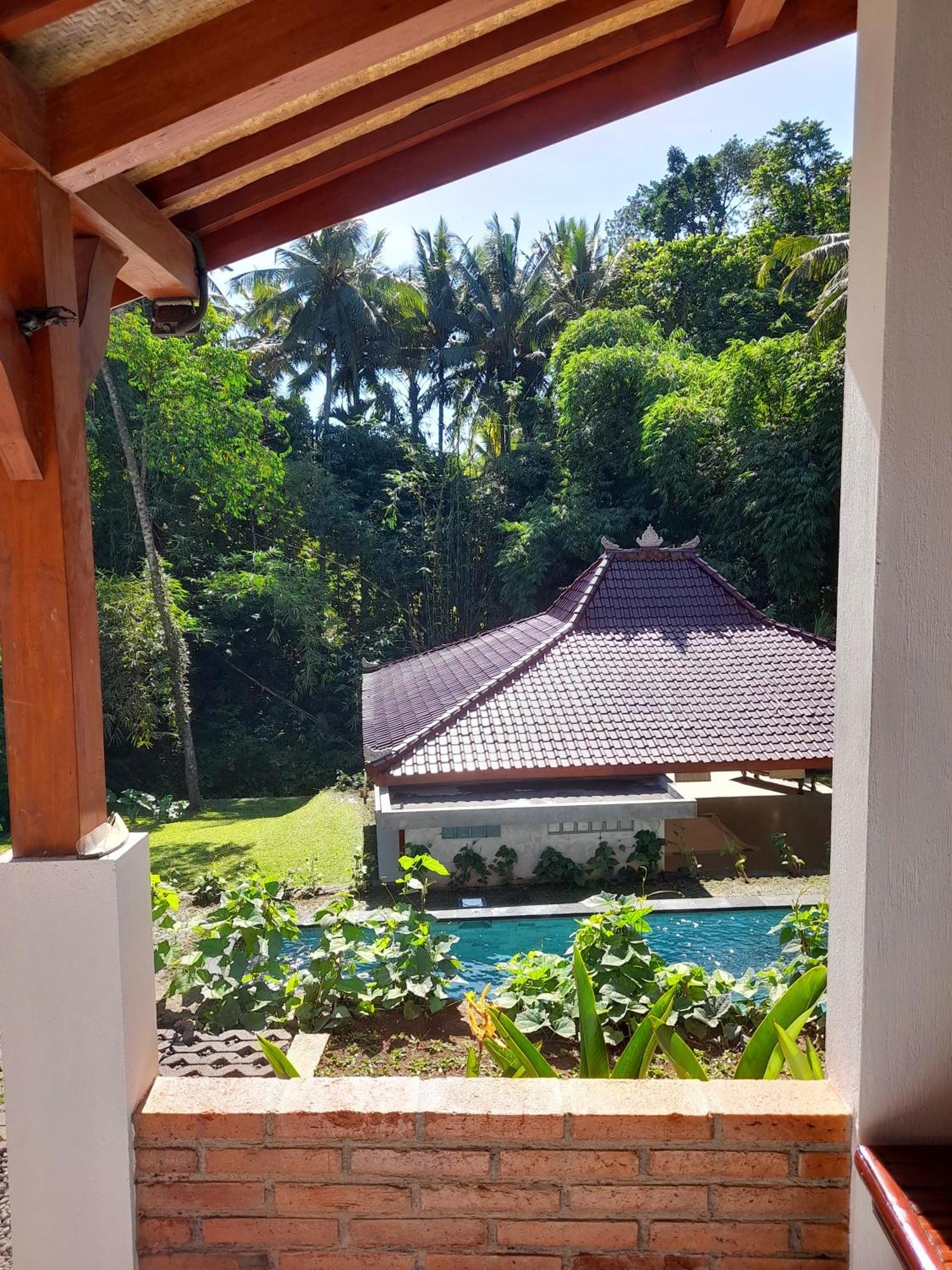 As I Am Ubud Retreat 外观 照片